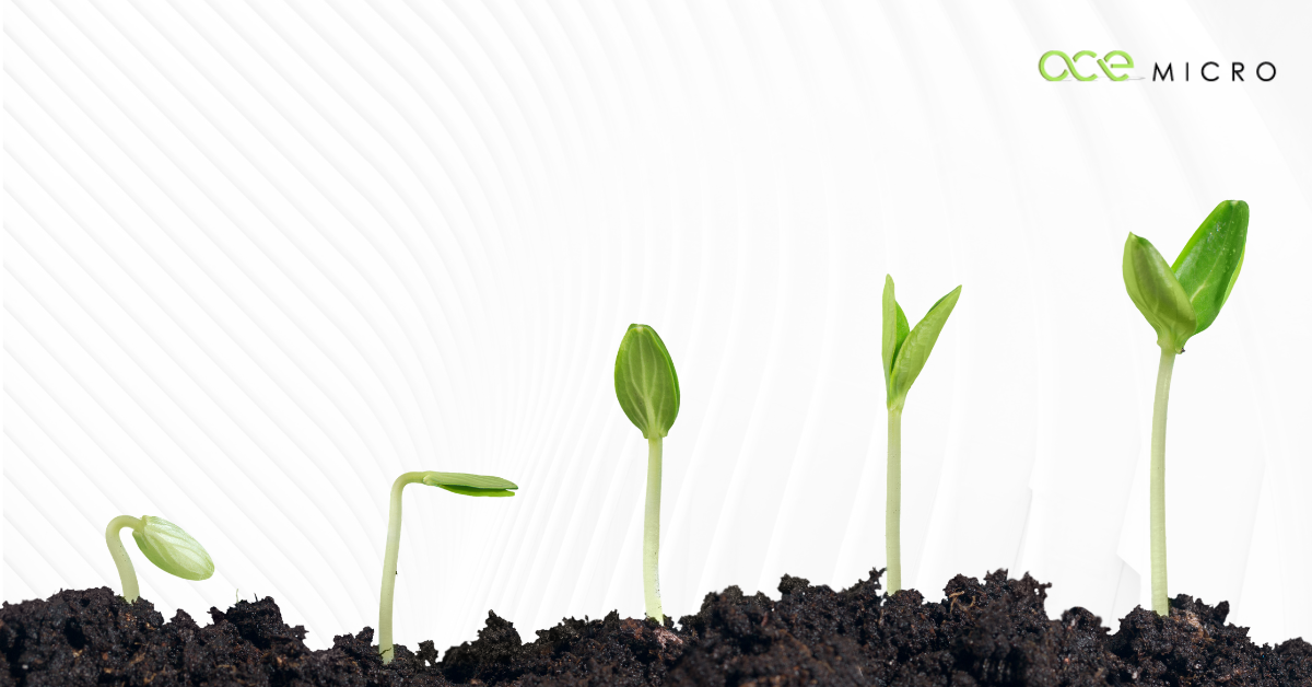 Is Business Central Scalable Enough for Growing Distribution Businesses?